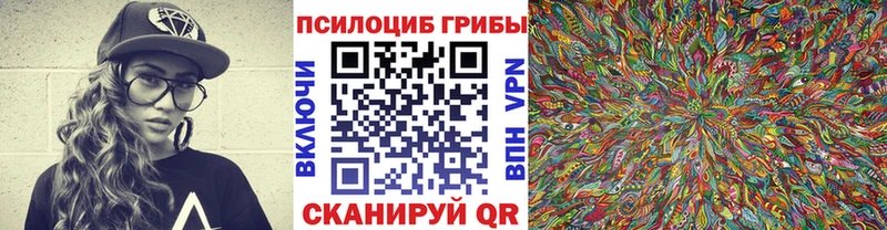 как найти   Сосновый Бор  kraken зеркало  Галлюциногенные грибы ЛСД 