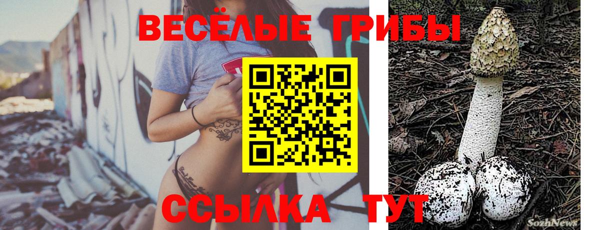 Сосновый Бор  Псилоцибиновые грибы Magic Shrooms  где найти наркотики  Вход с VPN 
