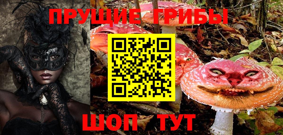 Псилоцибиновые грибы Magic Shrooms Сосновый Бор